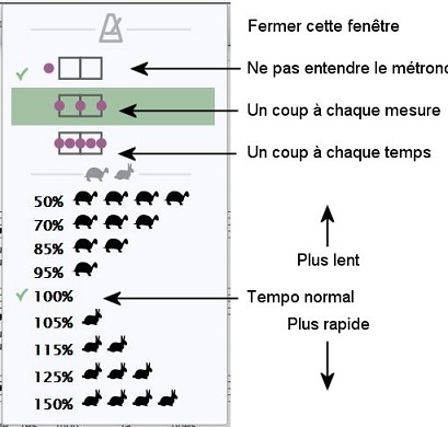 fenêtre métronome